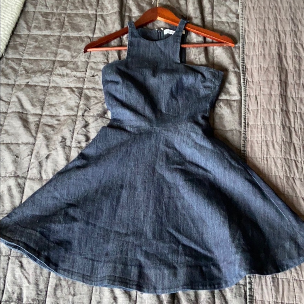 Elizabeth & James denim dress